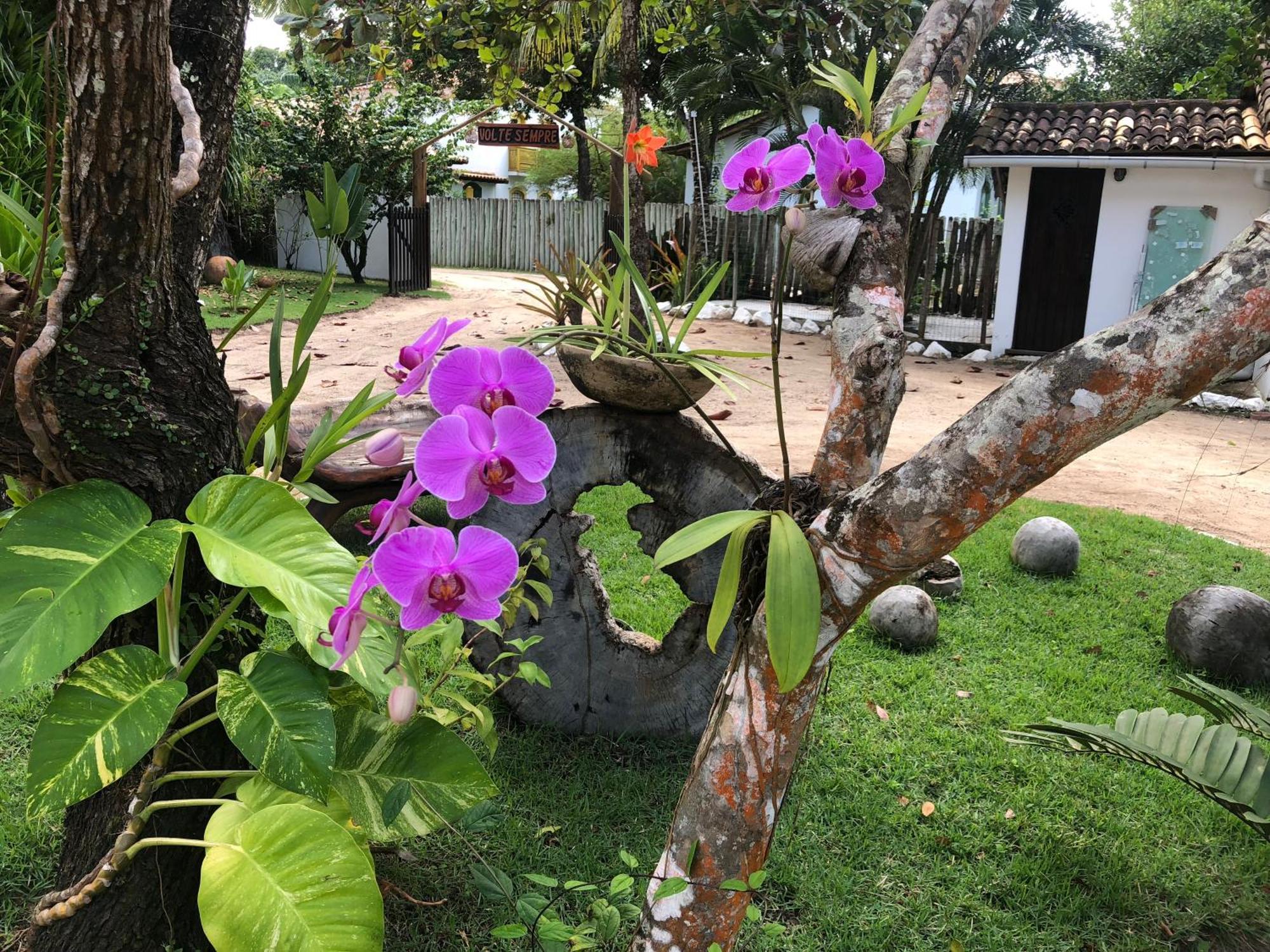Victor Hugo Com Natura E L'occitane Santo Andre (Bahia)