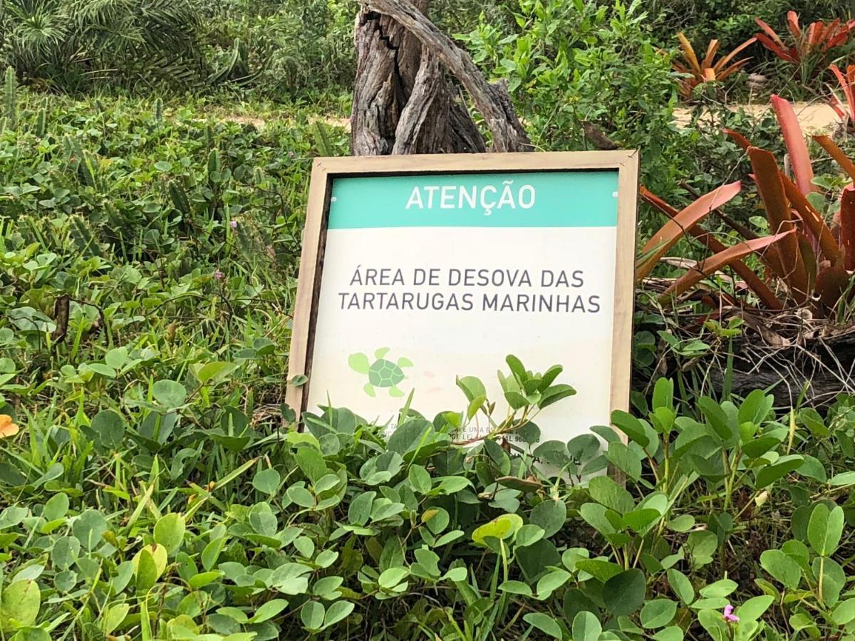 Victor Hugo Com Natura E L'occitane Santo Andre (Bahia)